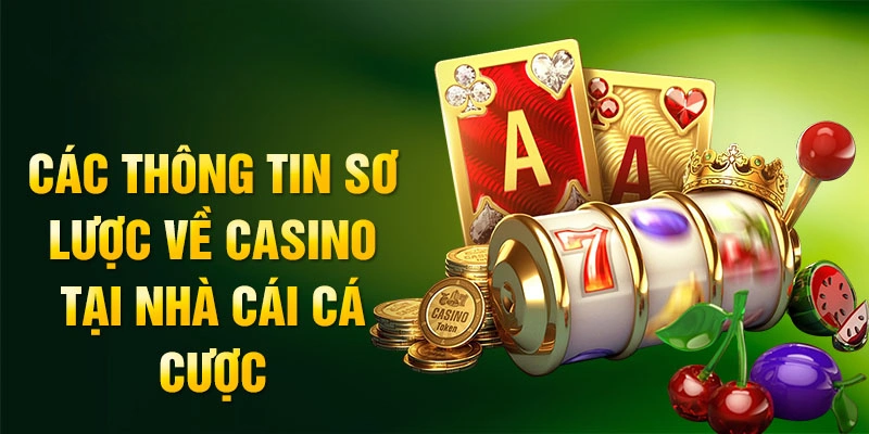Các thông tin sơ lược về casino tại nhà cái cá cược